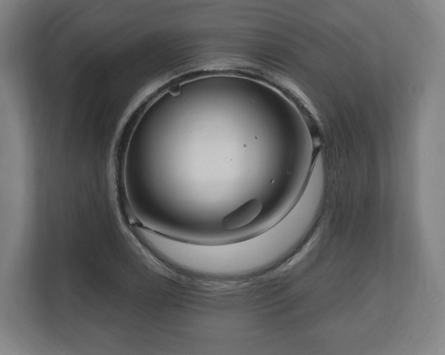 X0000111121122200907070952