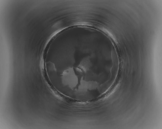 X0000111121125200907070952