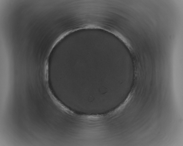 X0000111121126200907070952