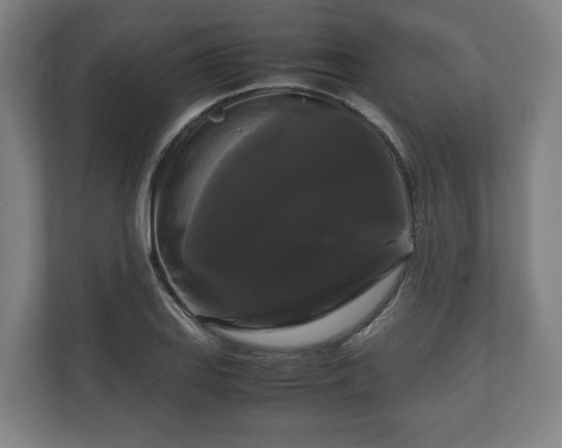 X0000111121127200907070952