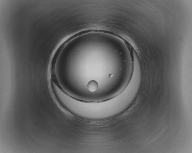 X0000111121128200907070952