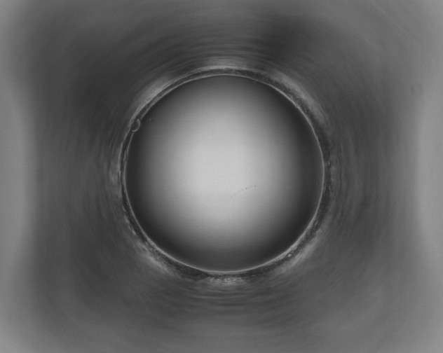 X0000111121129200907070952