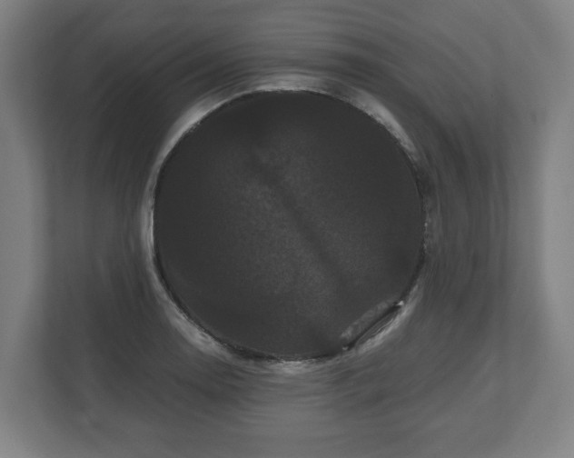 X0000111121130200907070952