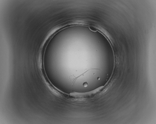 X0000111121131200907070952