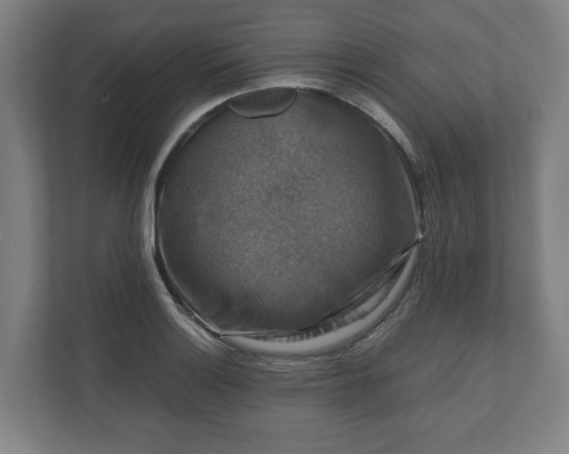 X0000111121132200907070952