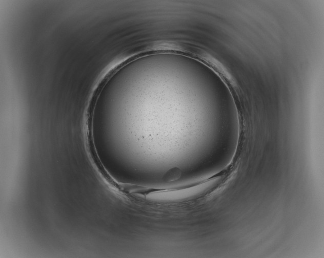 X0000111121133200907070952