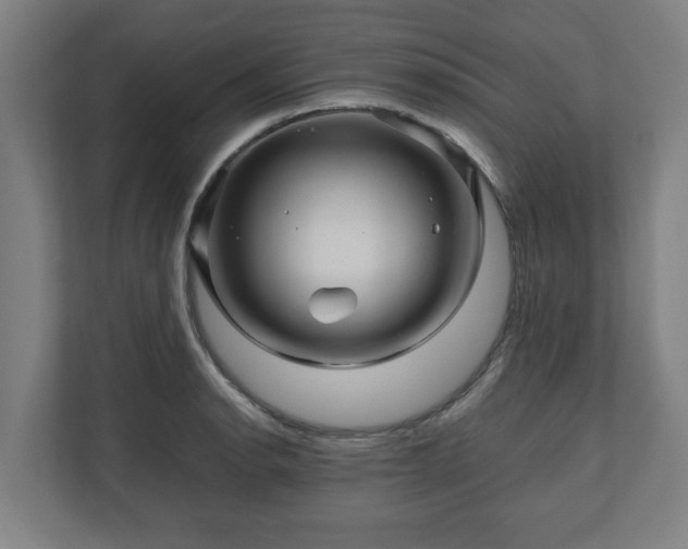 X0000111121134200907070952