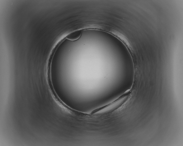 X0000111121135200907070952