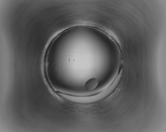 X0000111121136200907070952