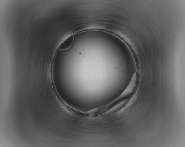 X0000111121137200907070952