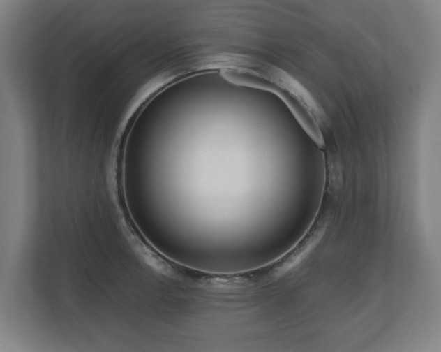 X0000111121138200907070952