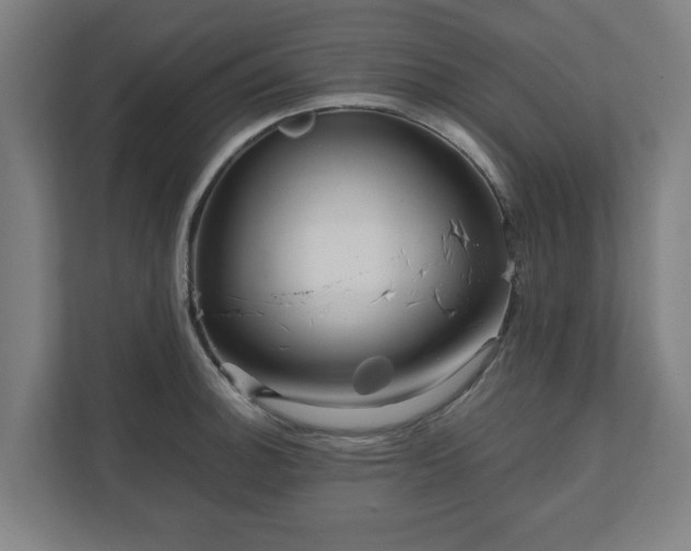 X0000111121140200907070952