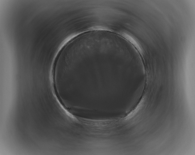 X0000111121141200907070952