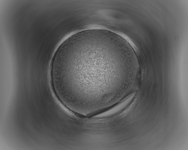 X0000111121142200907070952