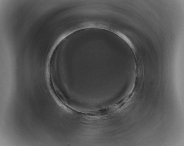 X0000111121144200907070952