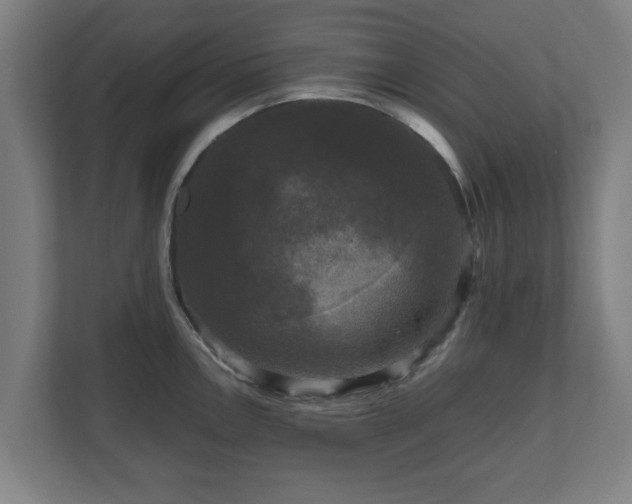 X0000111121146200907070952