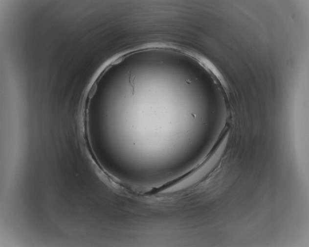 X0000111121148200907070952