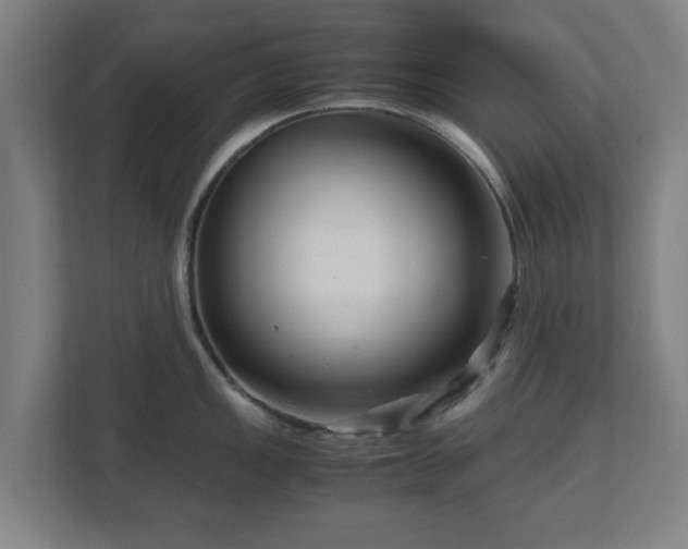 X0000111121149200907070952