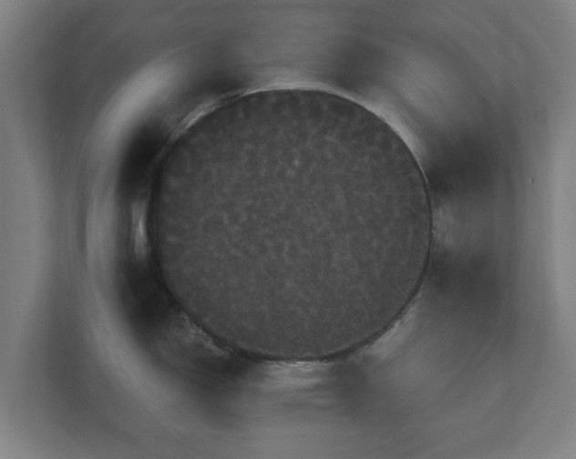 X0000111121150200907070952