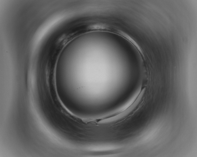 X0000111121151200907070952