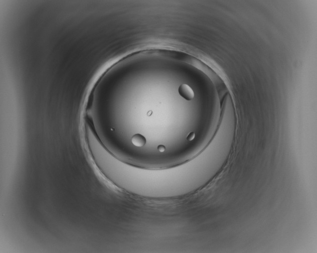 X0000111121152200907070952