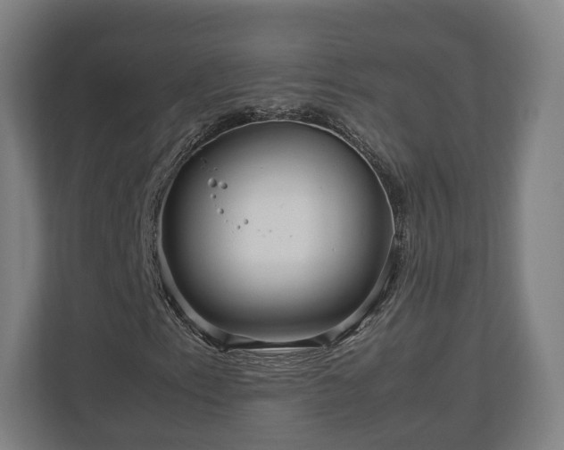 X0000111121153200907070952