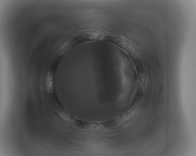 X0000111121154200907070952