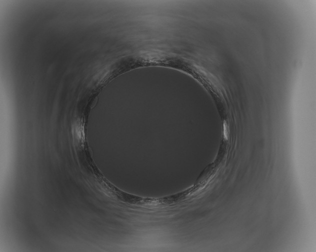 X0000111121155200907070952