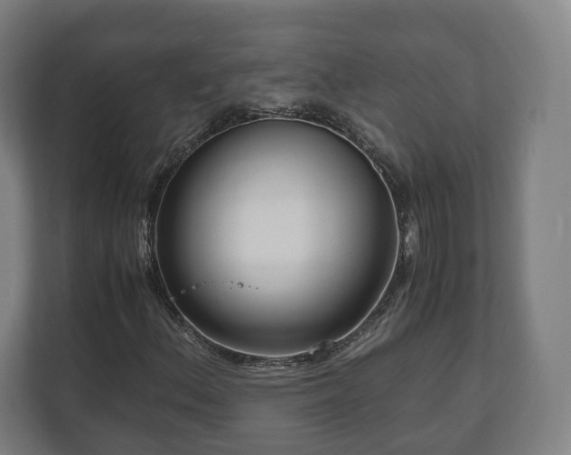 X0000111121156200907070952