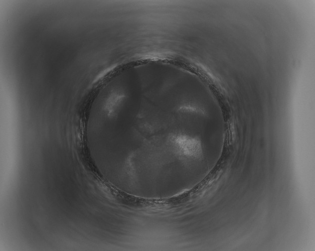 X0000111121158200907070952