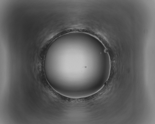 X0000111121159200907070952