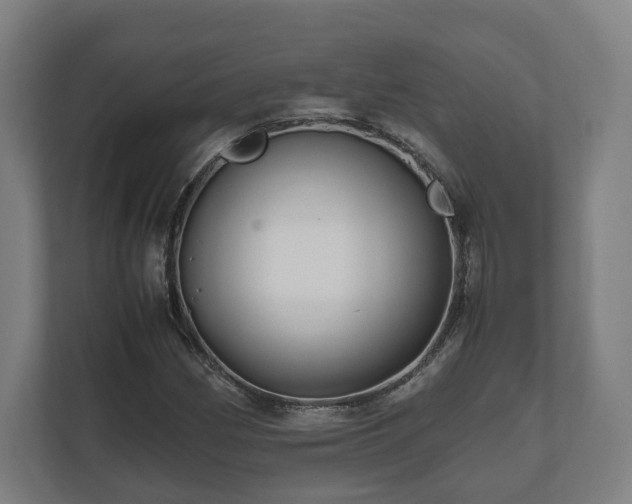 X0000111121162200907070952