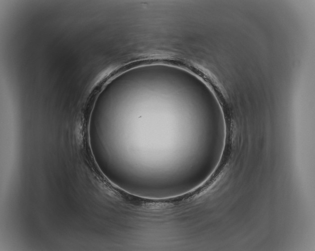 X0000111121163200907070952