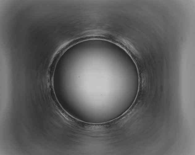 X0000111121164200907070952