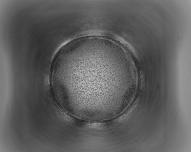 X0000111121166200907070952