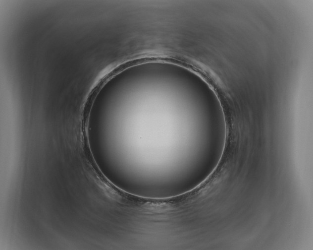 X0000111121168200907070952