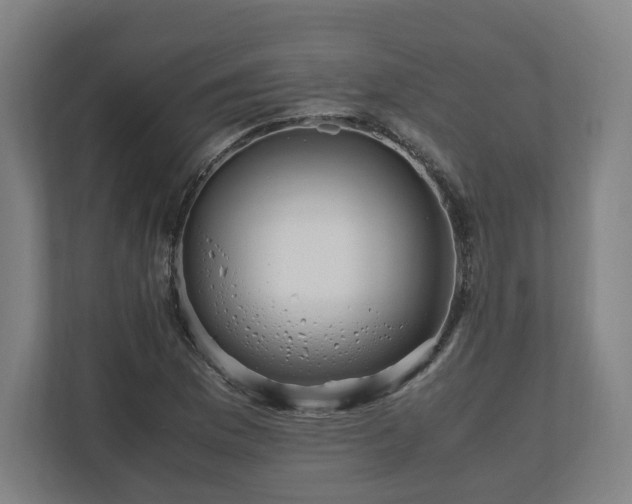 X0000111121169200907070952