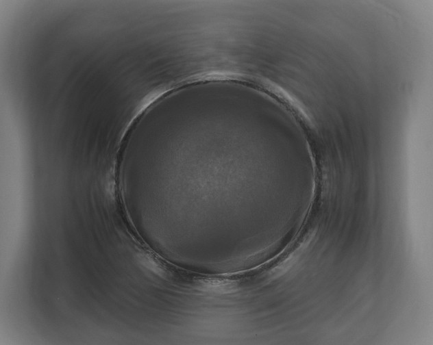 X0000111121170200907070952