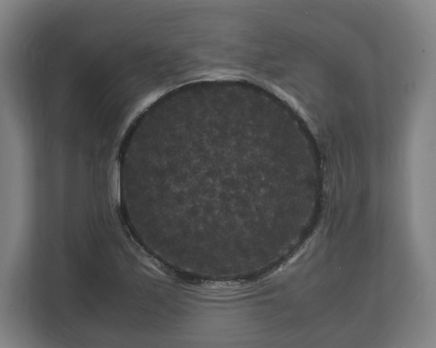 X0000111121171200907070951