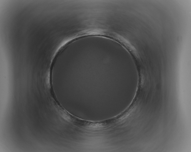 X0000111121174200907070951