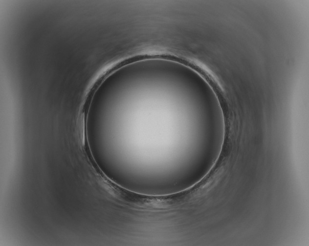 X0000111121175200907070951