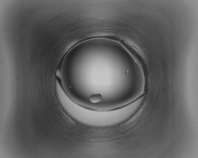 X0000111121177200907070951