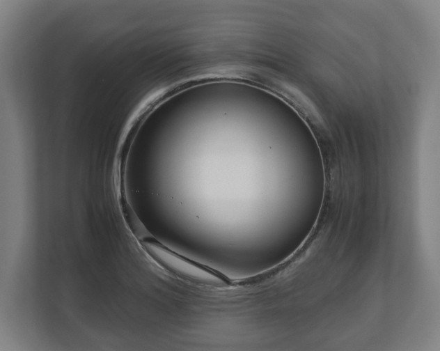 X0000111121180200907070951