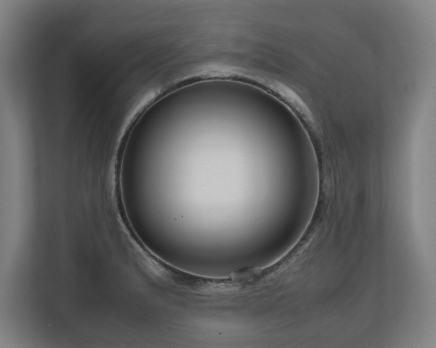 X0000111121183200907070951