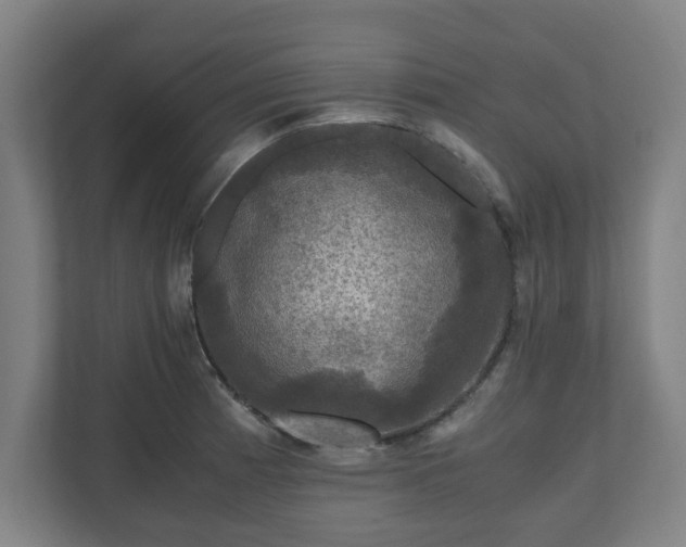 X0000111121185200907070951