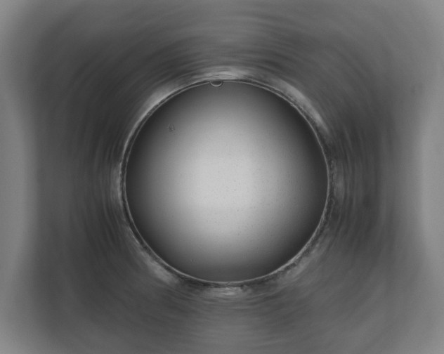 X0000111121186200907070951