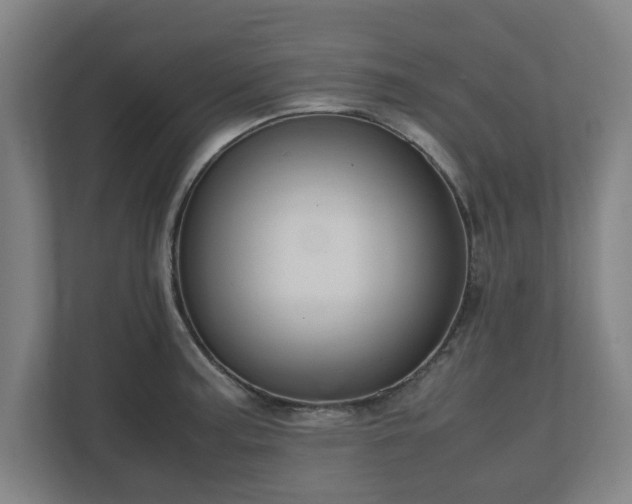 X0000111121187200907070951