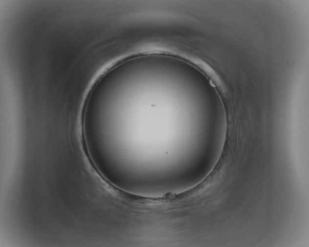 X0000111121191200907070951