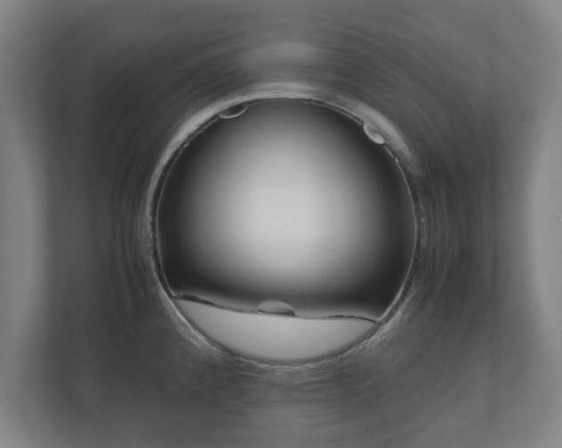 X0000111121192200907070951