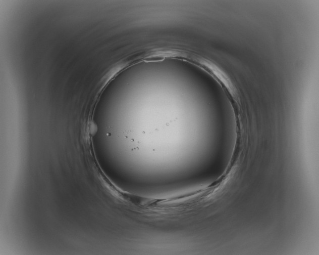 X0000111121193200907070951